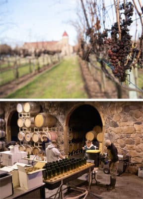 2 photo collage of exterior and interior barrel room at Horton Vineyards