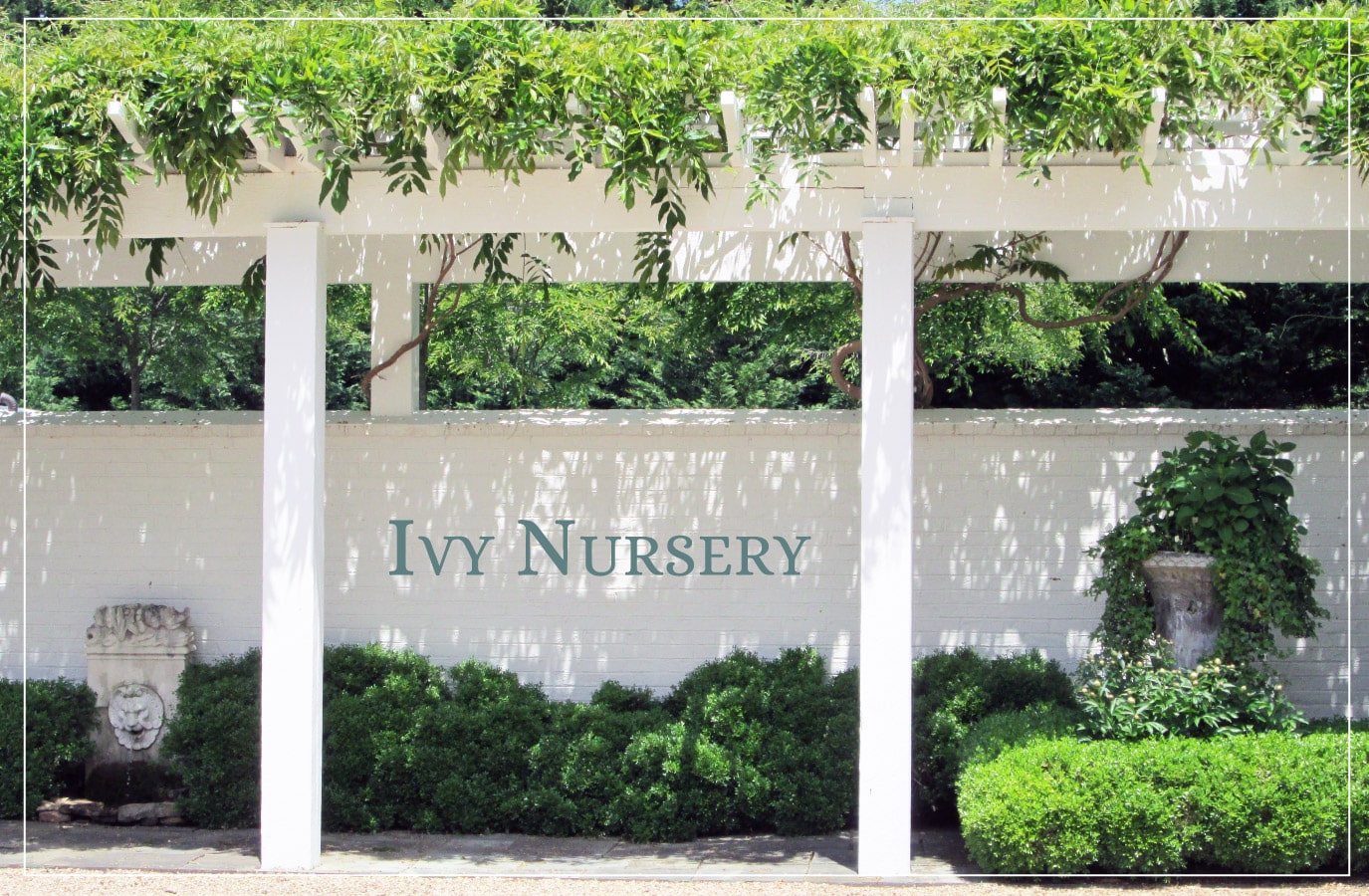 Photo of the walkway at Ivy Nursery