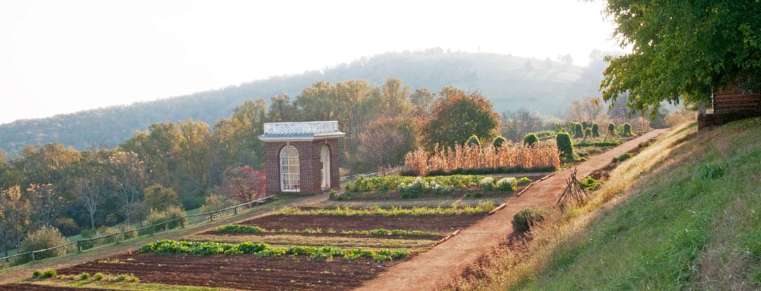 Monticello Garden