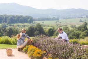 flowers at Pippin Hill