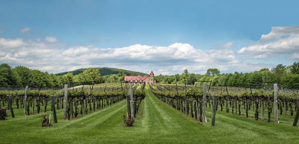 Horton Vineyards