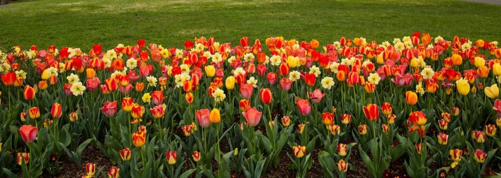 Historic Garden Week Fairfax VA