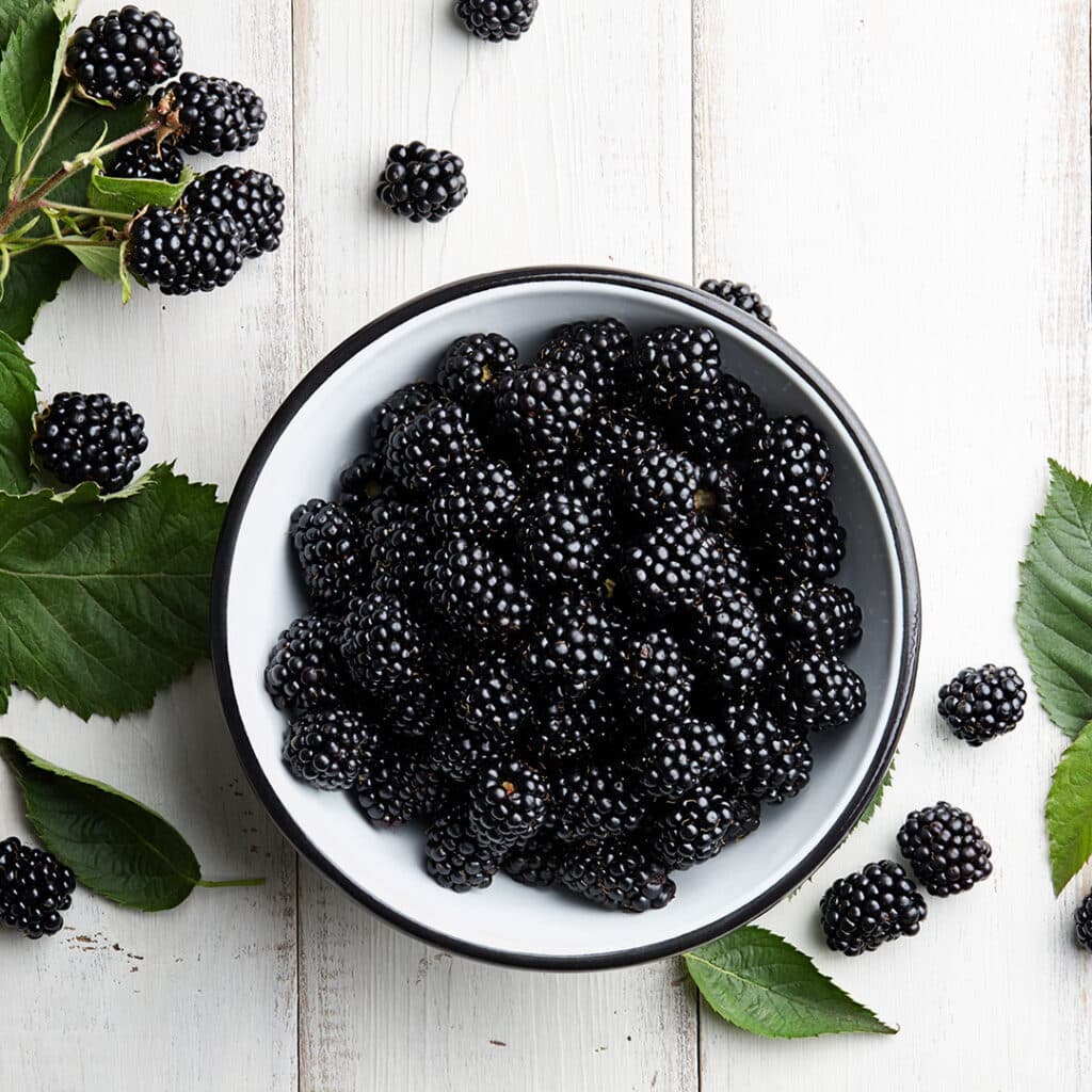 Bowl of fresh blackberries on stone background