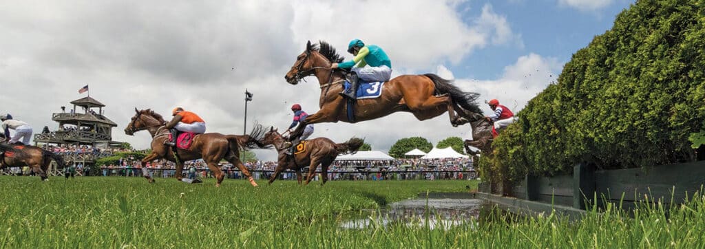 Horses jumping in the gold cup