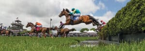 Horses jumping in the gold cup