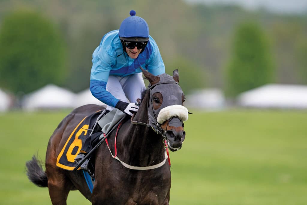 Jockey on a gold cup horse