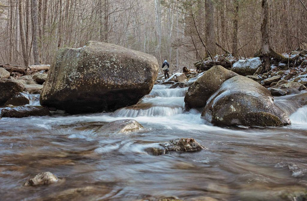 Fly fishing creek