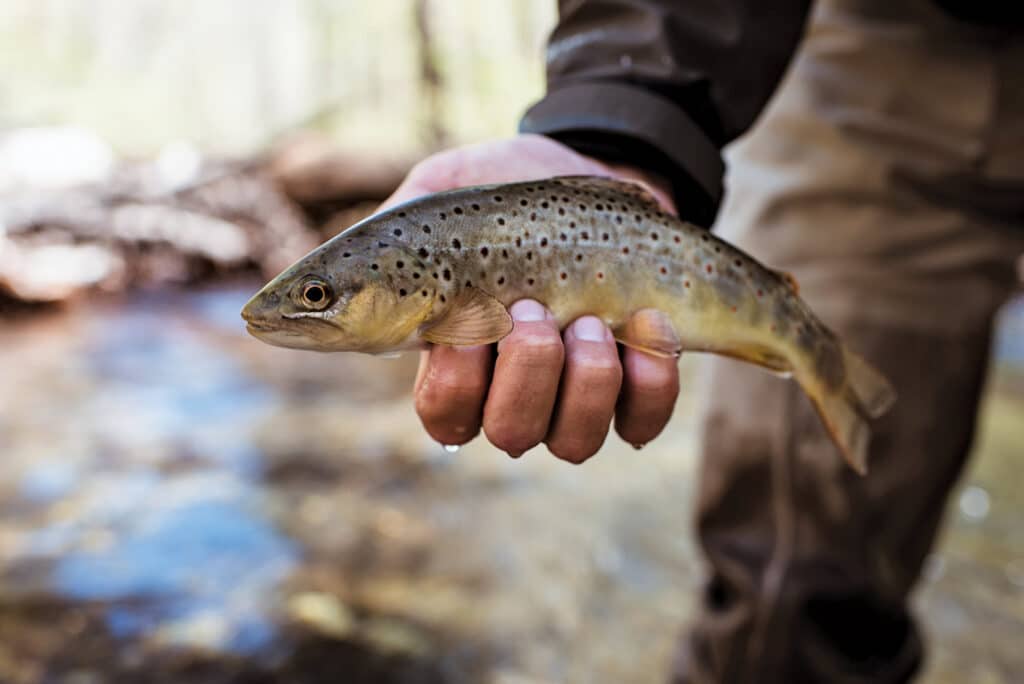 Man holding fish