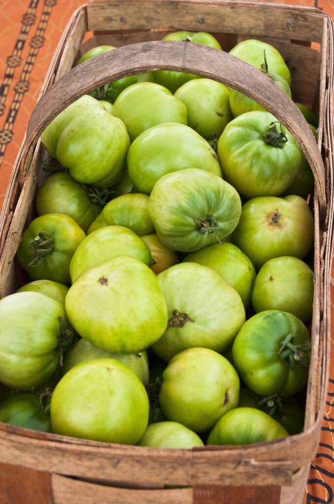 Green tomatoes in the wicker basket