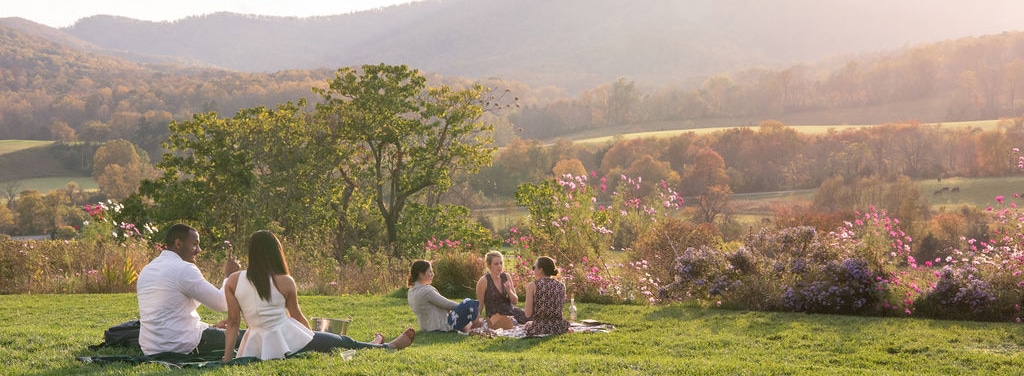 Family at Pippin hill vineyards