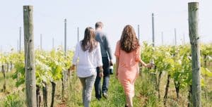 Photo of visitors walking among the vineyards at Early Mountain Vineyard