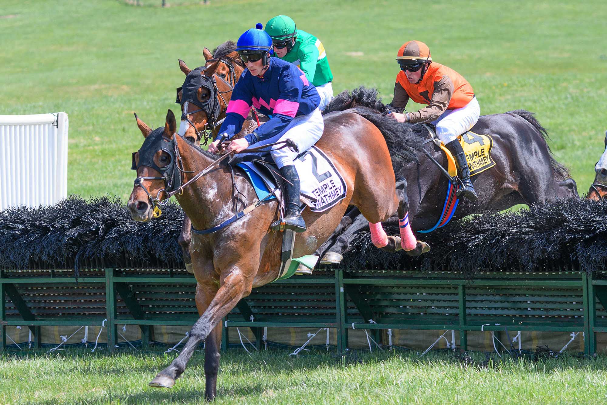 Middleburg Spring Races, © Image by Karen Monroe and Douglas Gehlsen