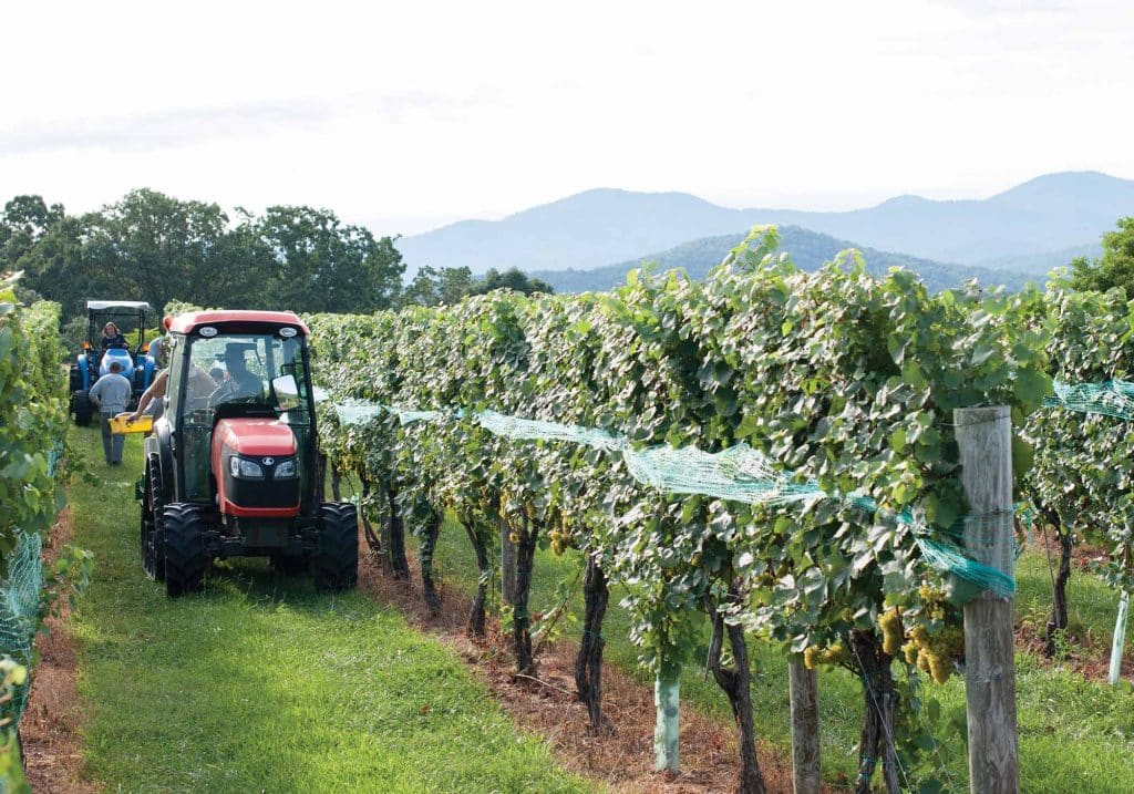 Veritas Vineyards & Winery crew working vines