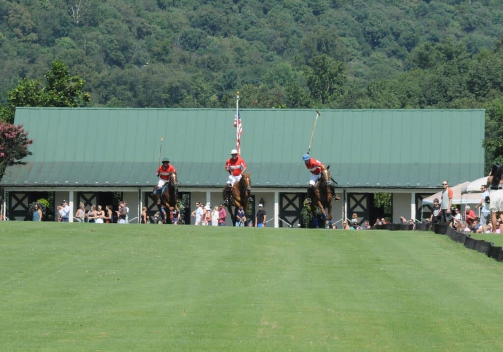 Roseland Polo King Family Vineyards Virginia