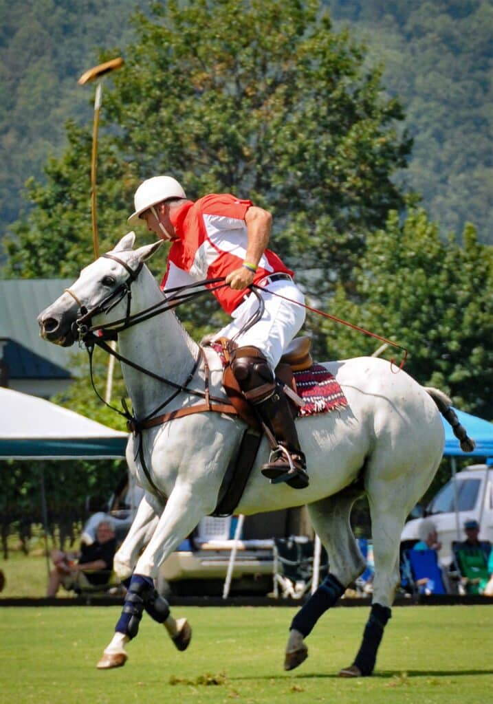 Roseland Polo King Family Vineyards Virginia David King