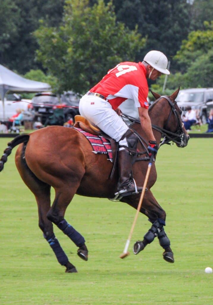 Roseland Polo King Family Vineyards Virginia David King