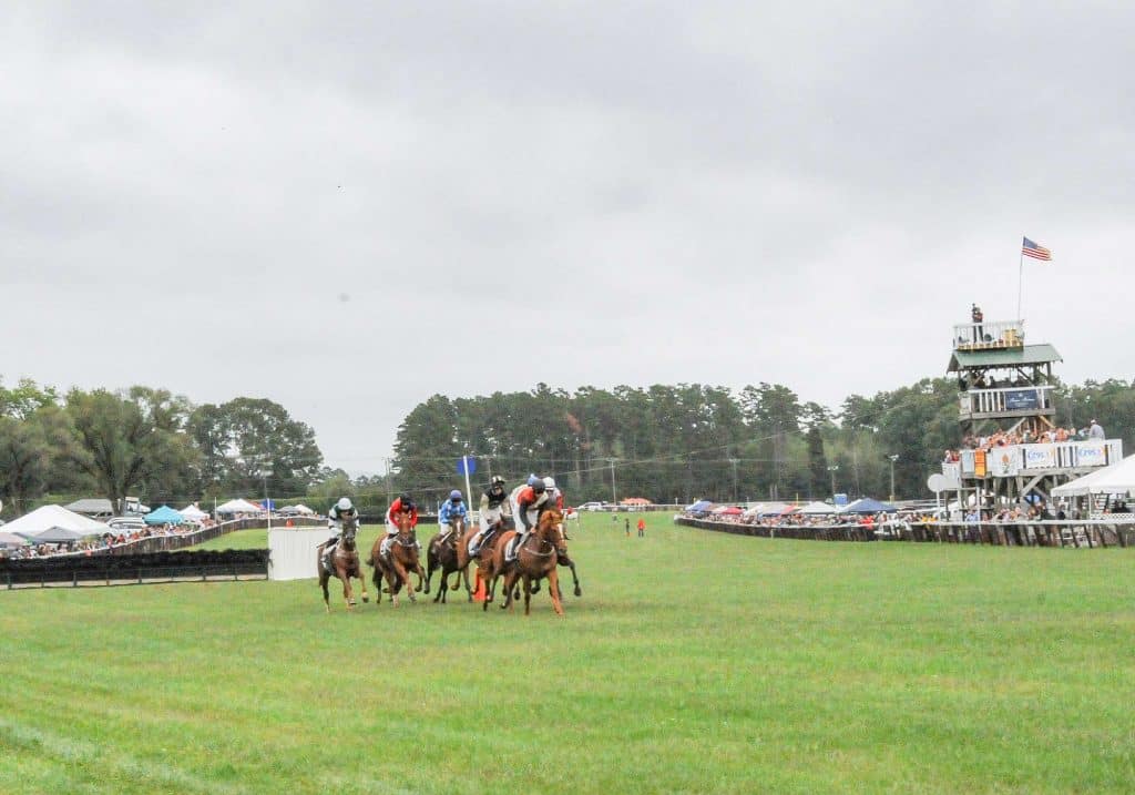 Horses racing on the track at Foxfield races