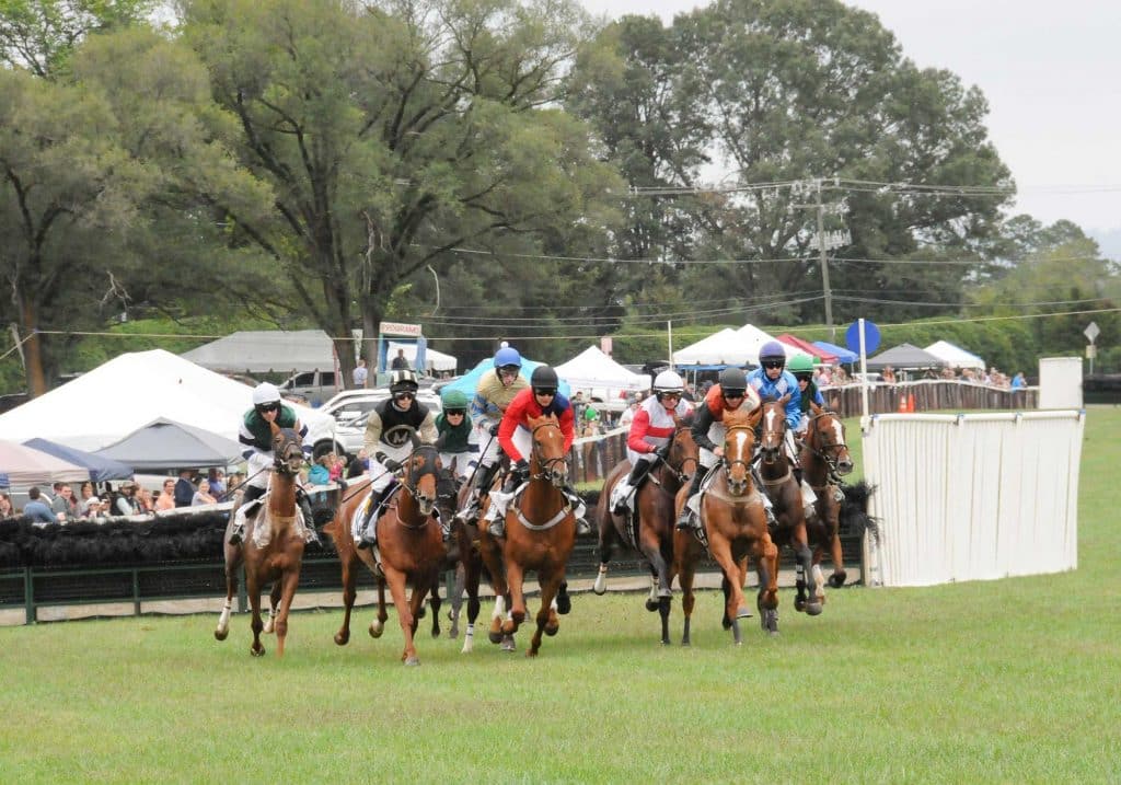 Charlottesville horse racing at the Foxfield races