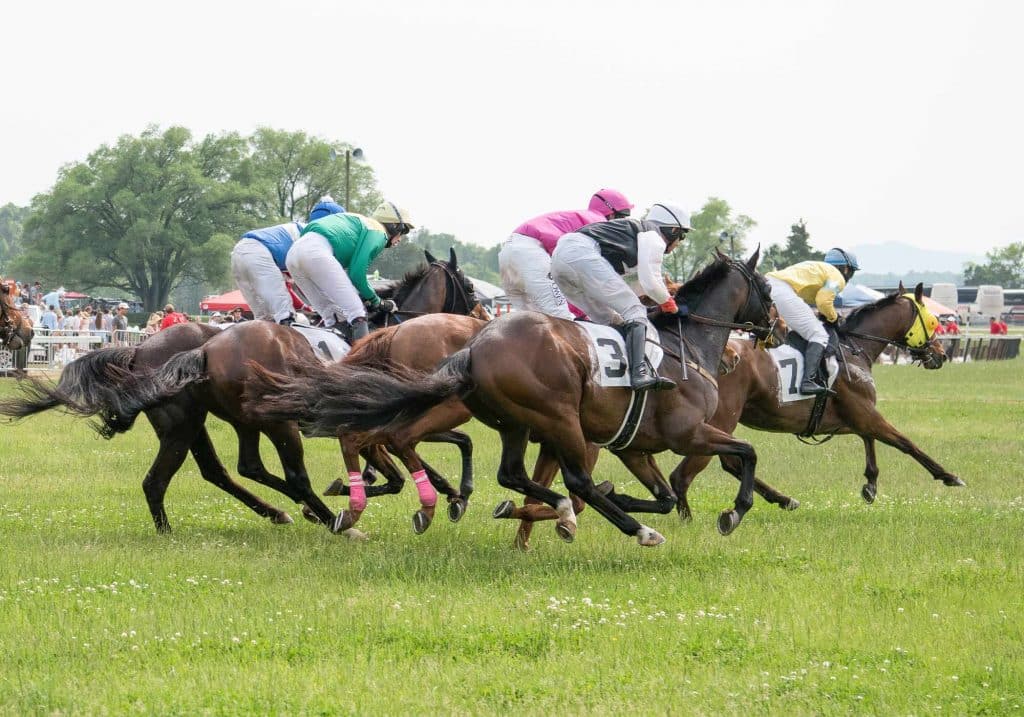 Virginia horse racing at Foxfield races