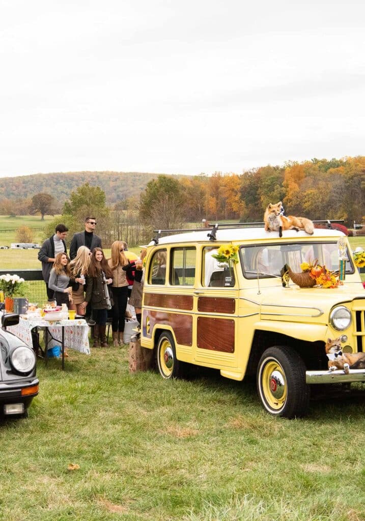 Virginia Gold Cup car, Image: © Wine & Country Life