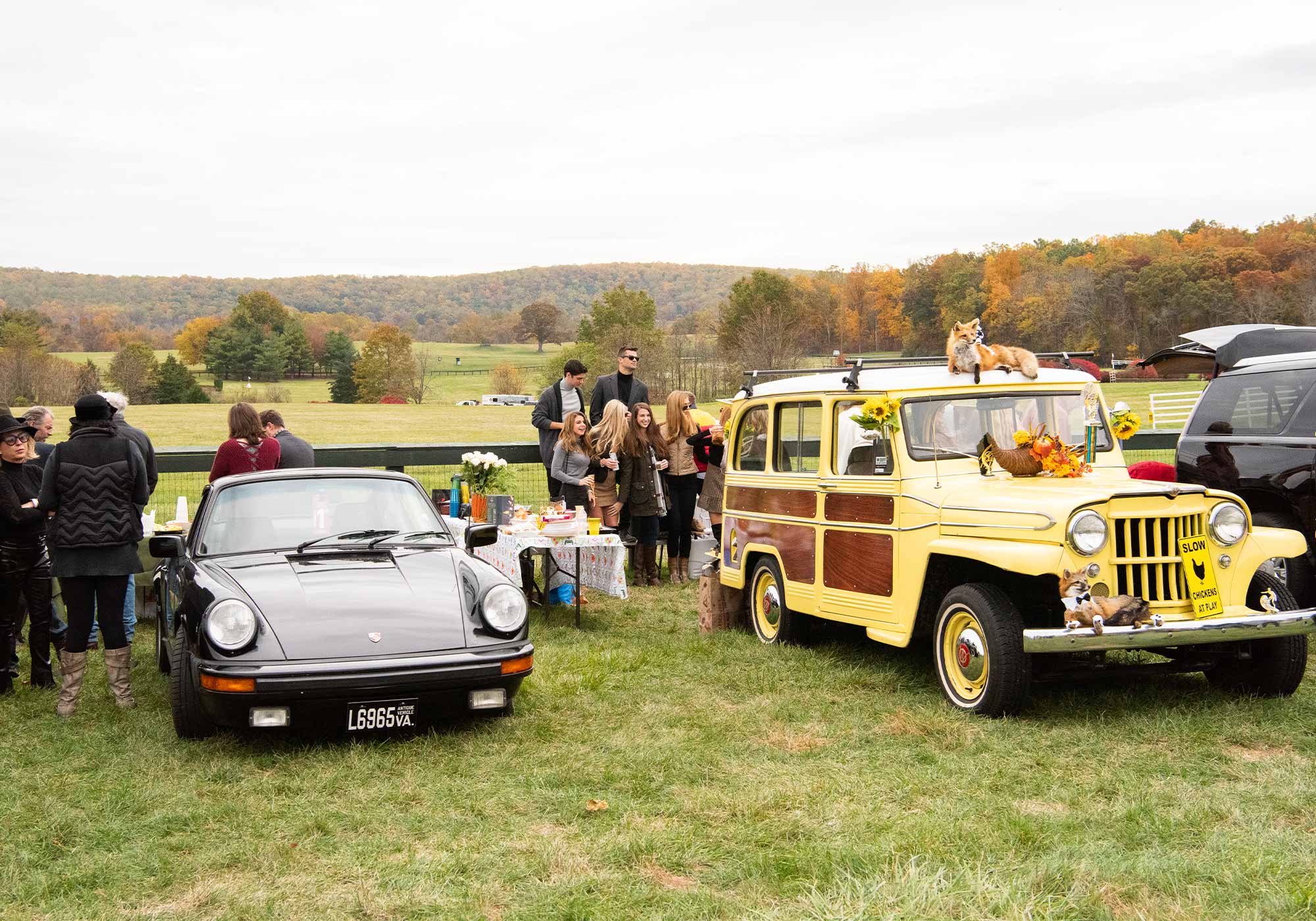 Virginia Gold Cup cars, Image: © Wine & Country Life