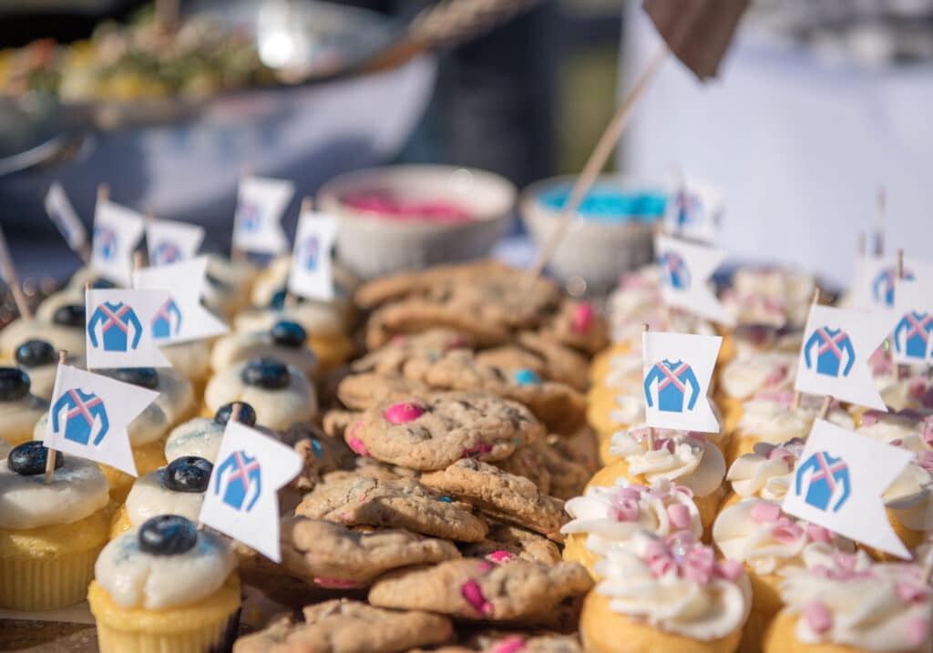 cupcakes at Montpelier Hunt Races cupcakes, Image: © Wine & Country Life