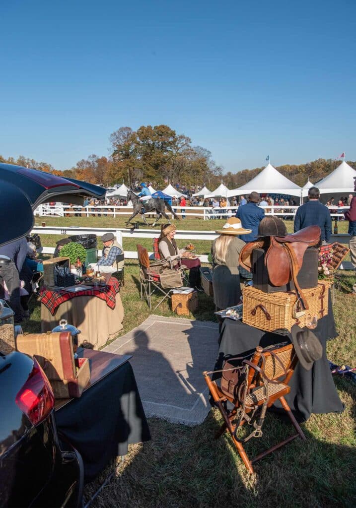 Montpelier Hunt Races tailgate setup, Image: © Wine & Country Life