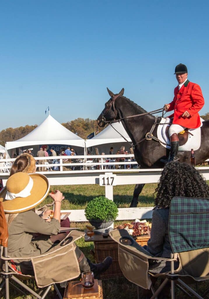 Montpelier Hunt Races Spectators, Image: © Wine & Country Life