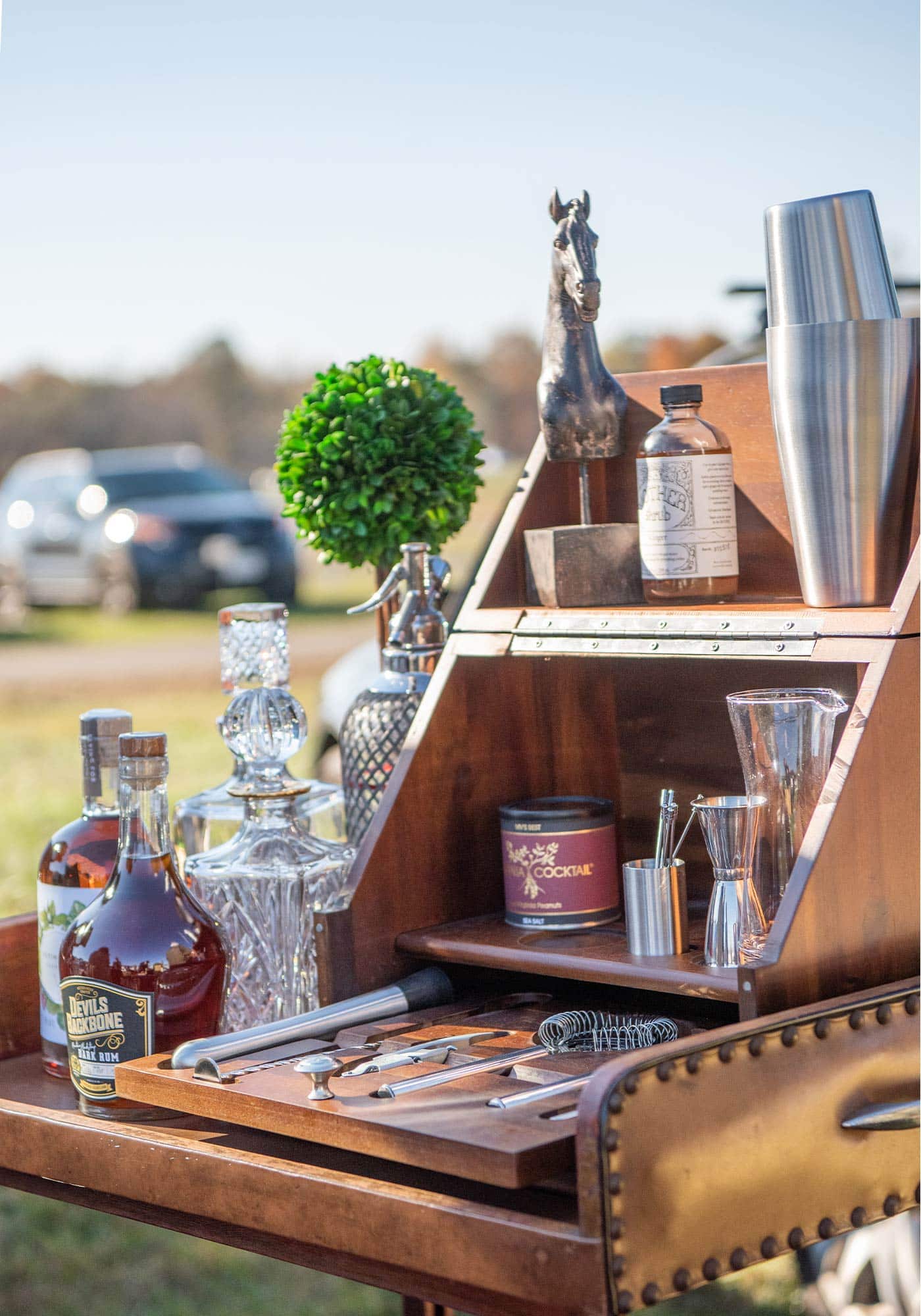 Montpelier Hunt Races, Image by © RL Johnson for Wine & Country Life