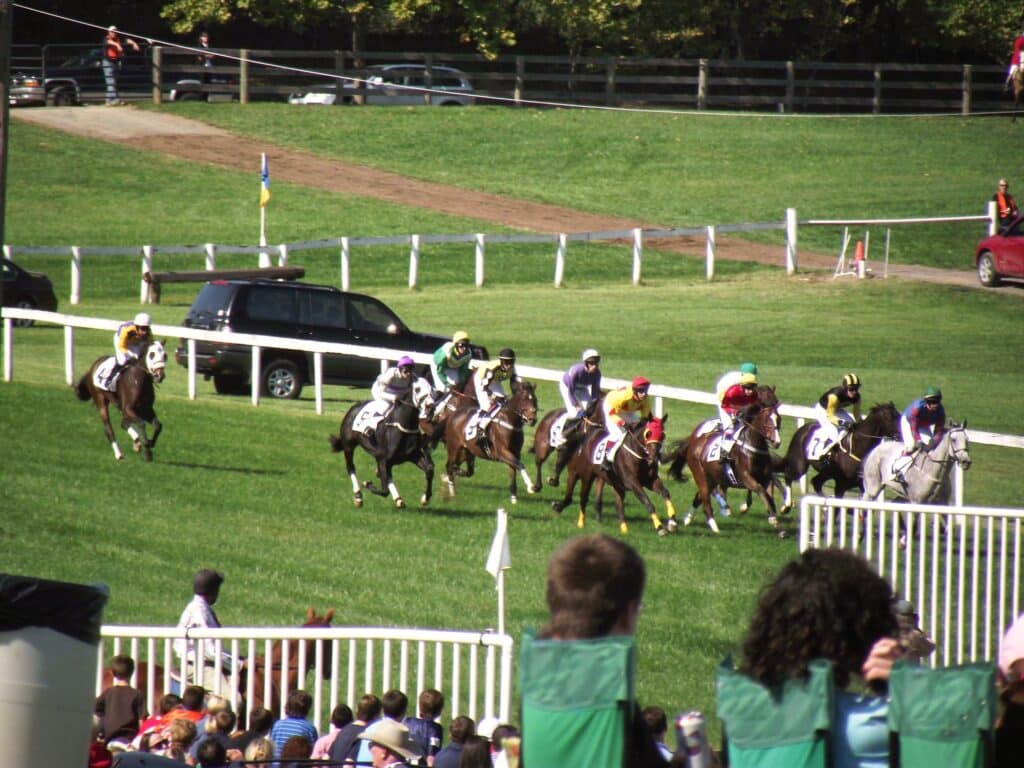 Horses and spectators at Morven Park in Leesburg