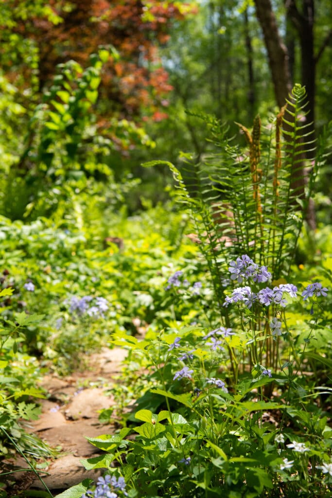 Boninti English Cottage Garden Albemarle Historic Garden Week