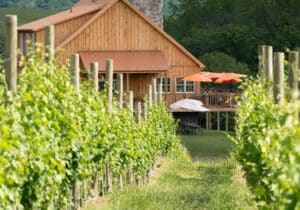 Photo of a vineyard and building in Loudoun. Visit Loudoun County