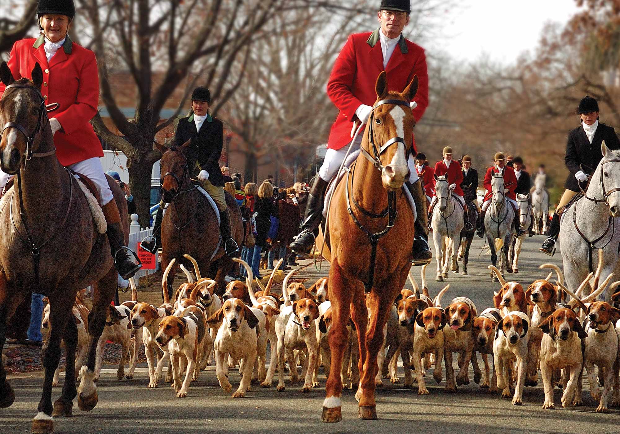 Middleburg Christmas Parade for Holiday Weekend in Middleburg