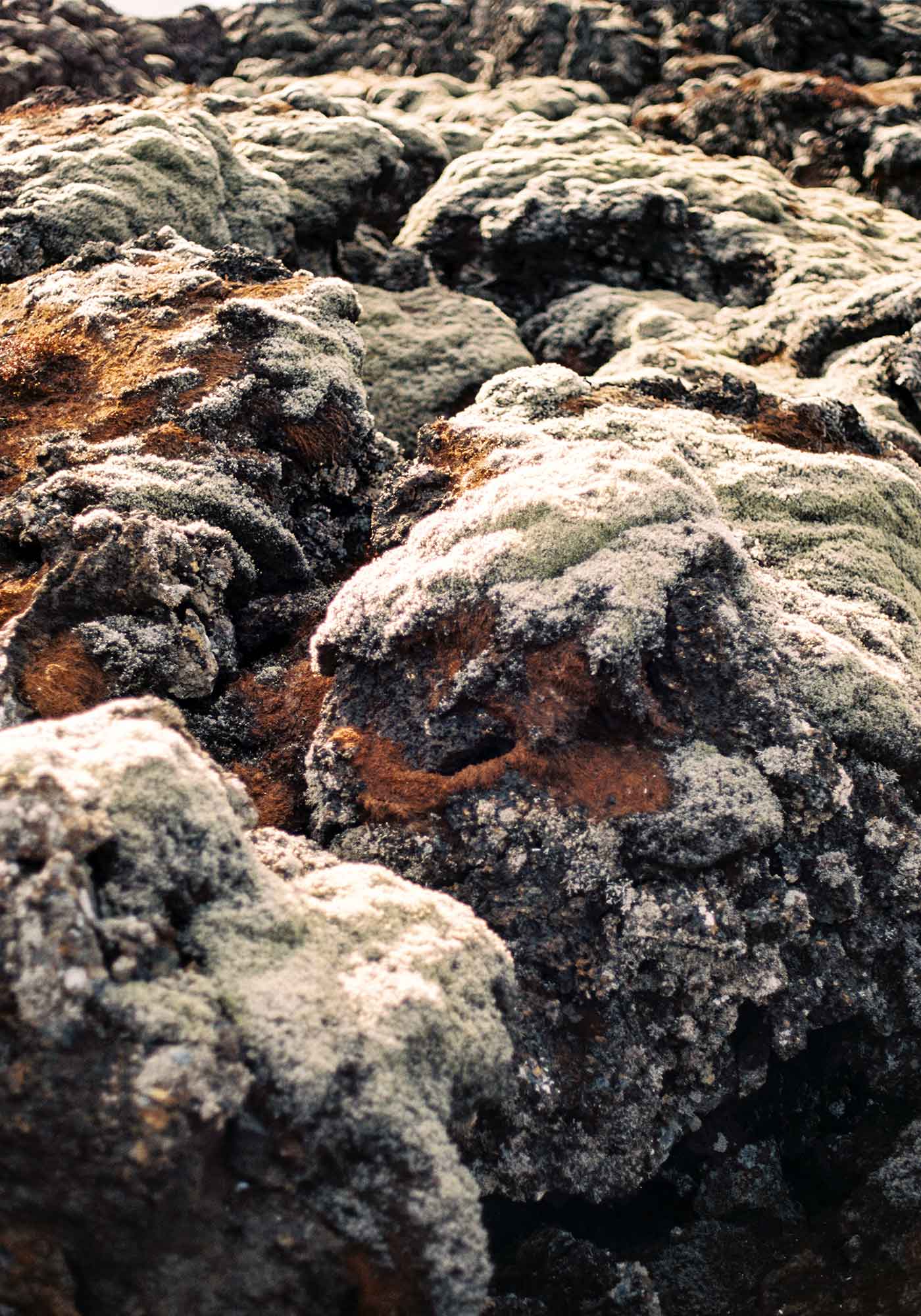 Volcanic Rock on the Classic Black Beaches in Iceland