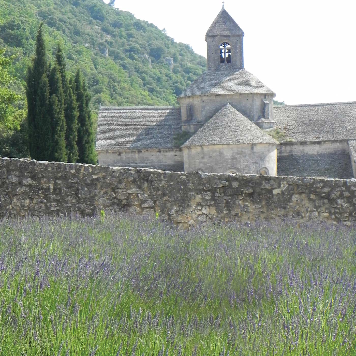 The Lavender Abbey at Provence