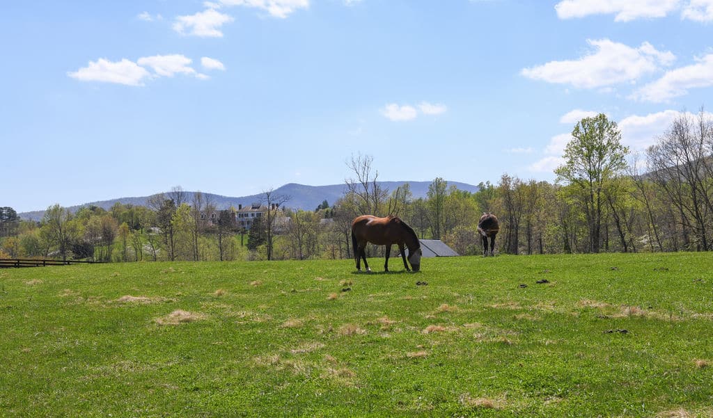 Mount Fair Equestrian Farm Vineyard Historic Garden Week