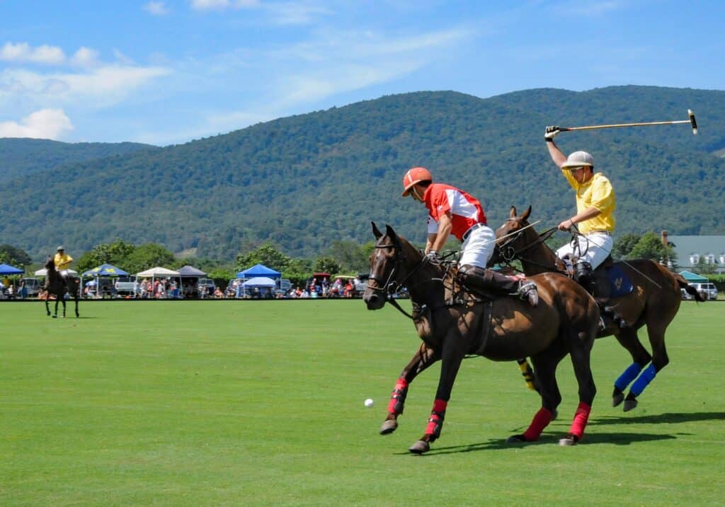 Sunday Polo at Roseland Polo, King Family Vineyards Virginia