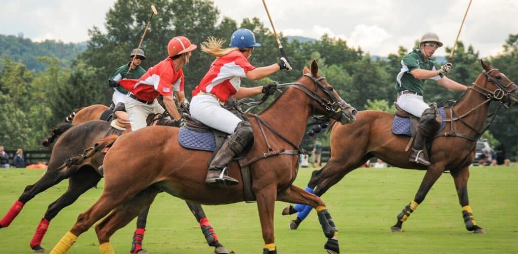 Sunday Polo at king family vineyards, Virginia