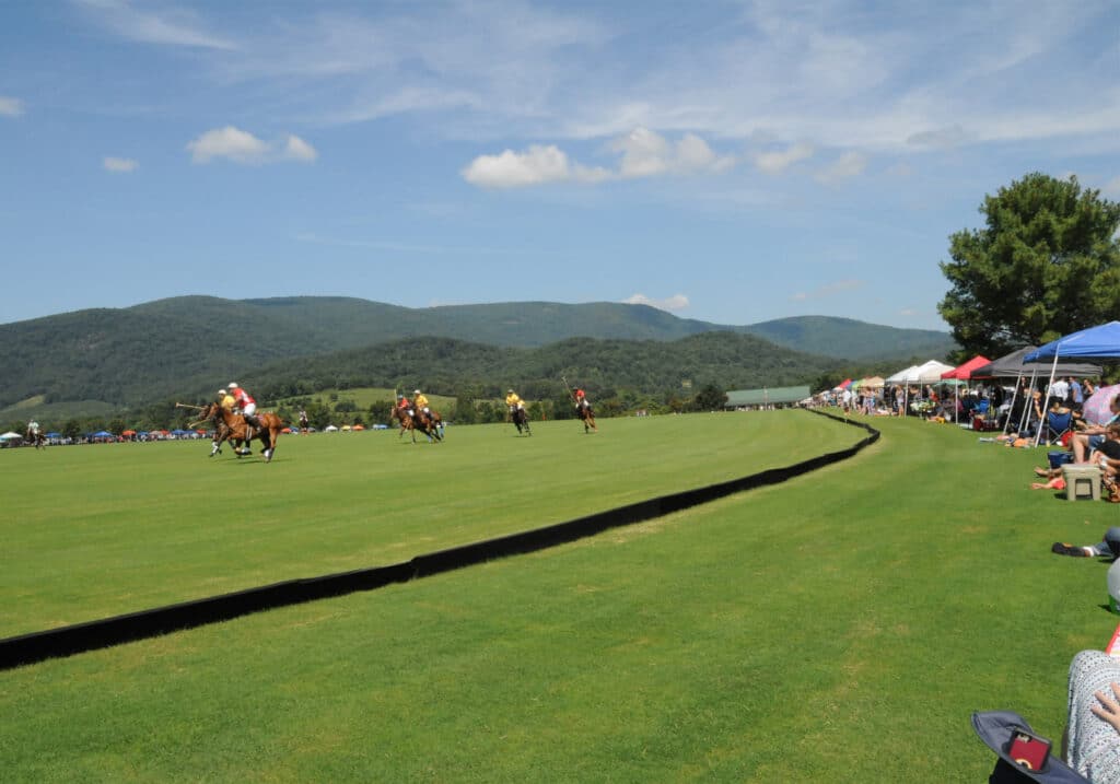 roseland polo king's family vineyard picnic