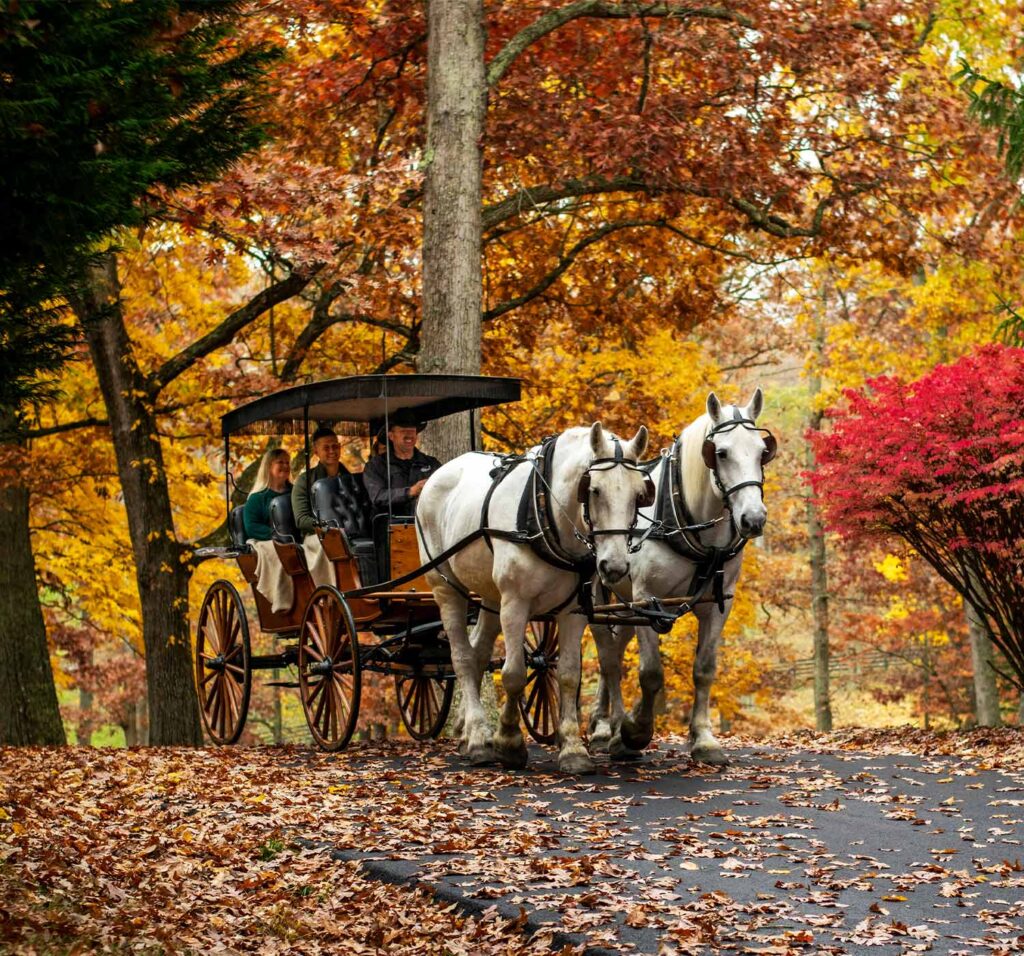 omni homestead resort romantic lodging horse carriage