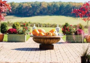 Fall display of pumpkins at the Market at Grelen In Orange, Va