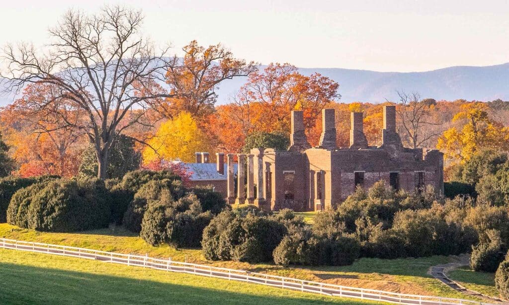 Bold autumn colored leaves in red, gold and oranges at Barboursville Vineyards Ruins in Central Virginia.