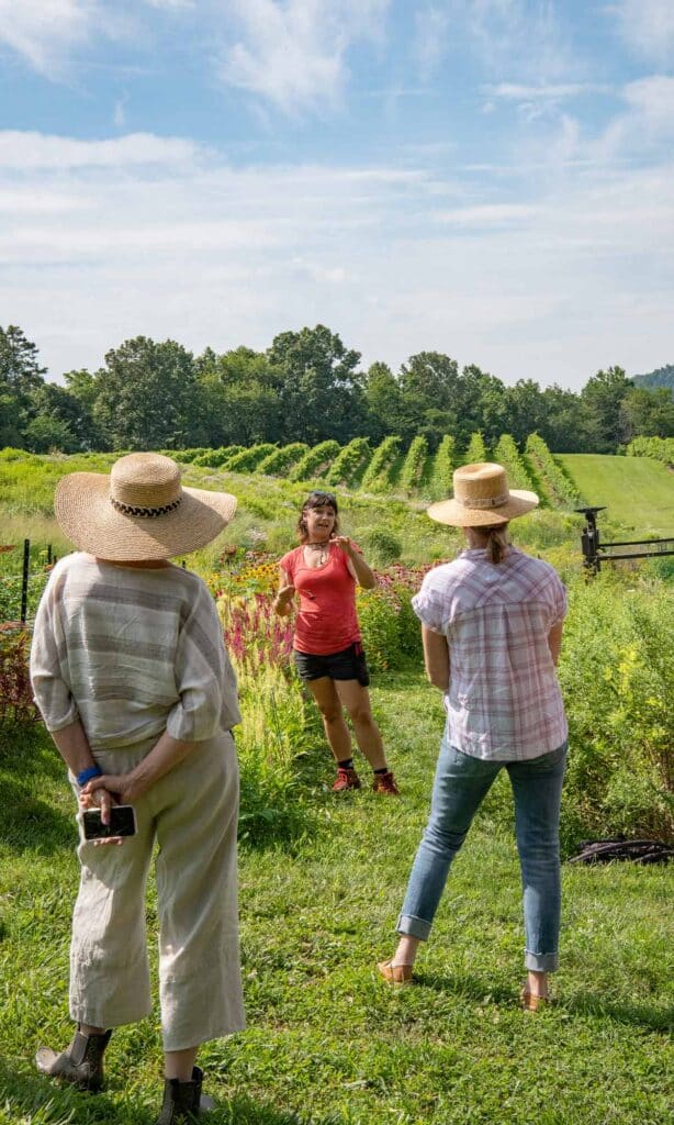 Pippin Hill Vineyards Floral Workshop