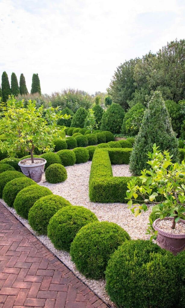 elizabeth locke parterre garden