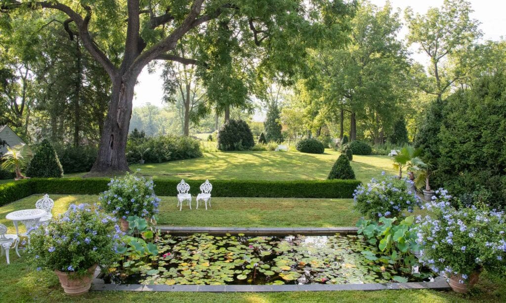 elizabeth locke garden