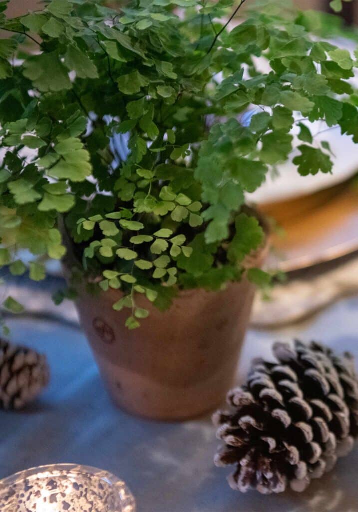 holiday vegan dinner fern pinecone