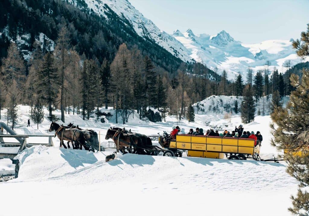 st moritz horse drawn carriage