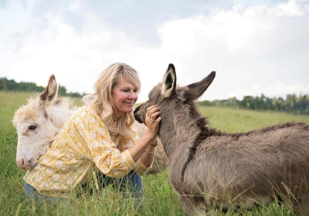 upper bundoran exterior tracey miniature donkey