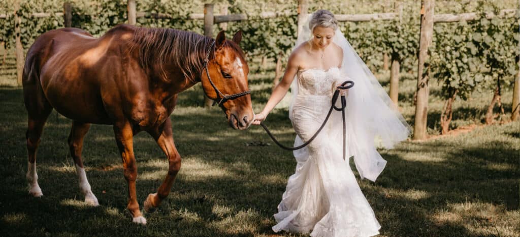 horse bride virginia equestrian wedding