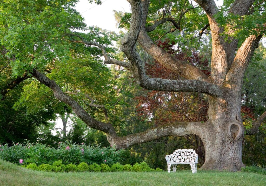 Historic Garden Week, Garden Club of Virginia 2023, Oatlands Historic House and Gardens Leesburg VA